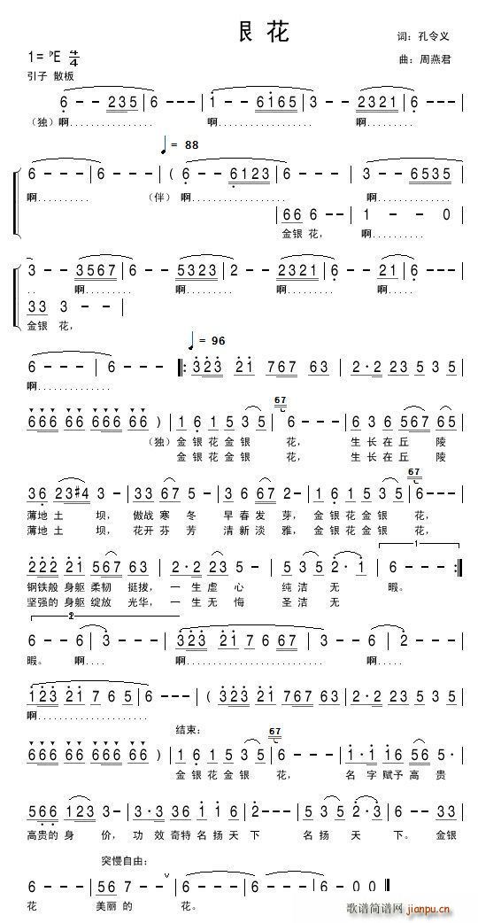 金银花 山东省金银花博物馆馆歌(十字及以上)1