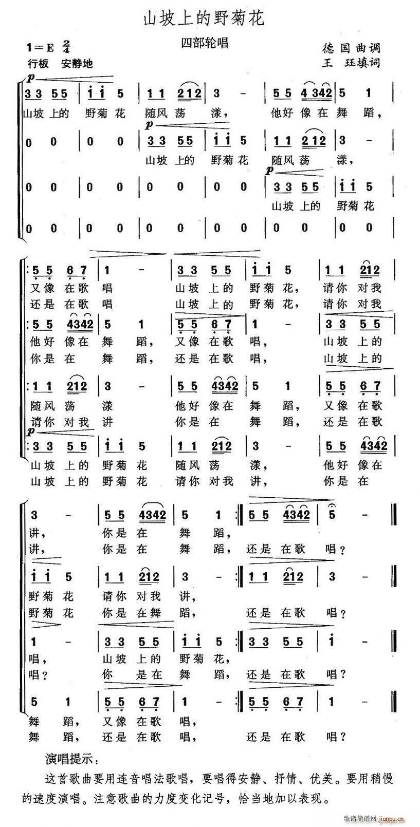 山坡上的野菊花(七字歌谱)1