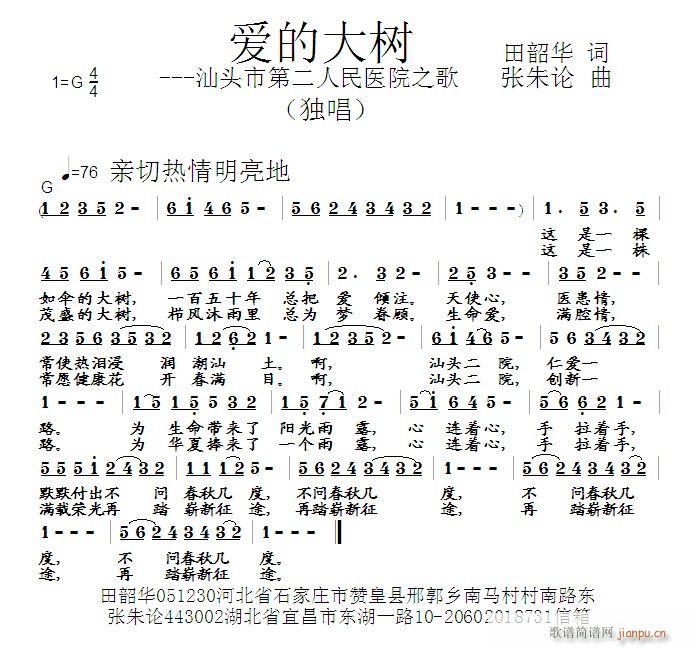 爱的大树(四字歌谱)1