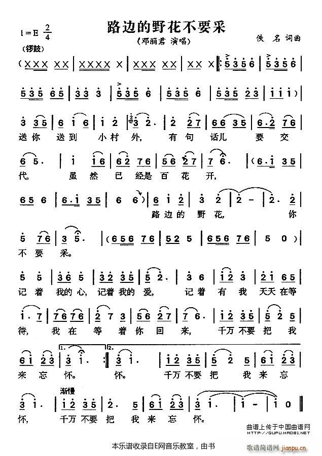路边的野花不要采 邓丽君(十字及以上)1