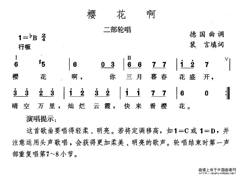 樱花啊(三字歌谱)1