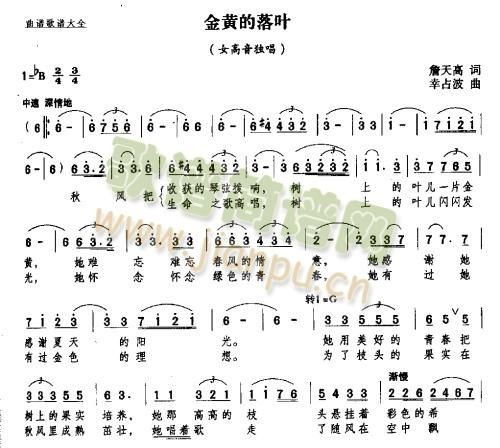 金黄的落叶(五字歌谱)1