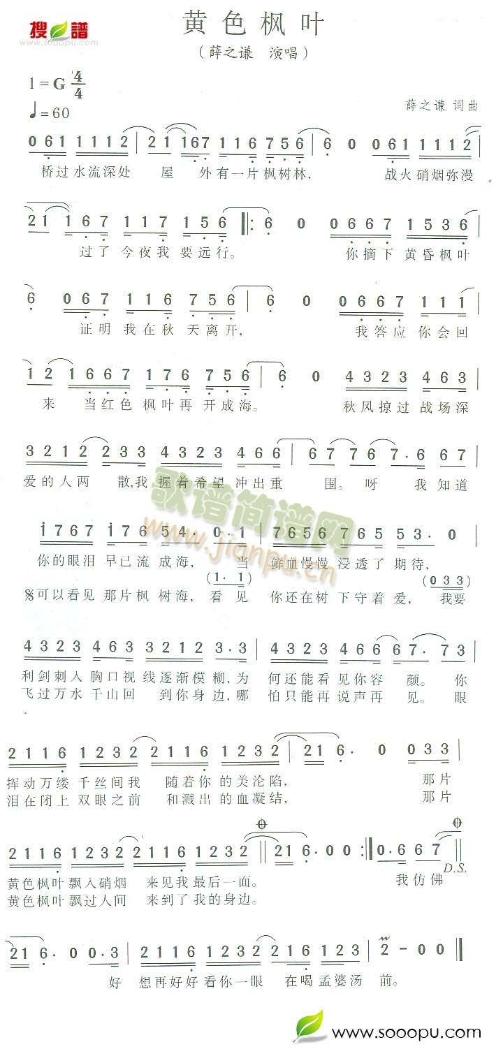 黄色枫叶(四字歌谱)1