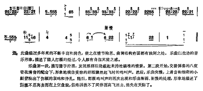 打雁-河南筝曲(古筝扬琴谱)3