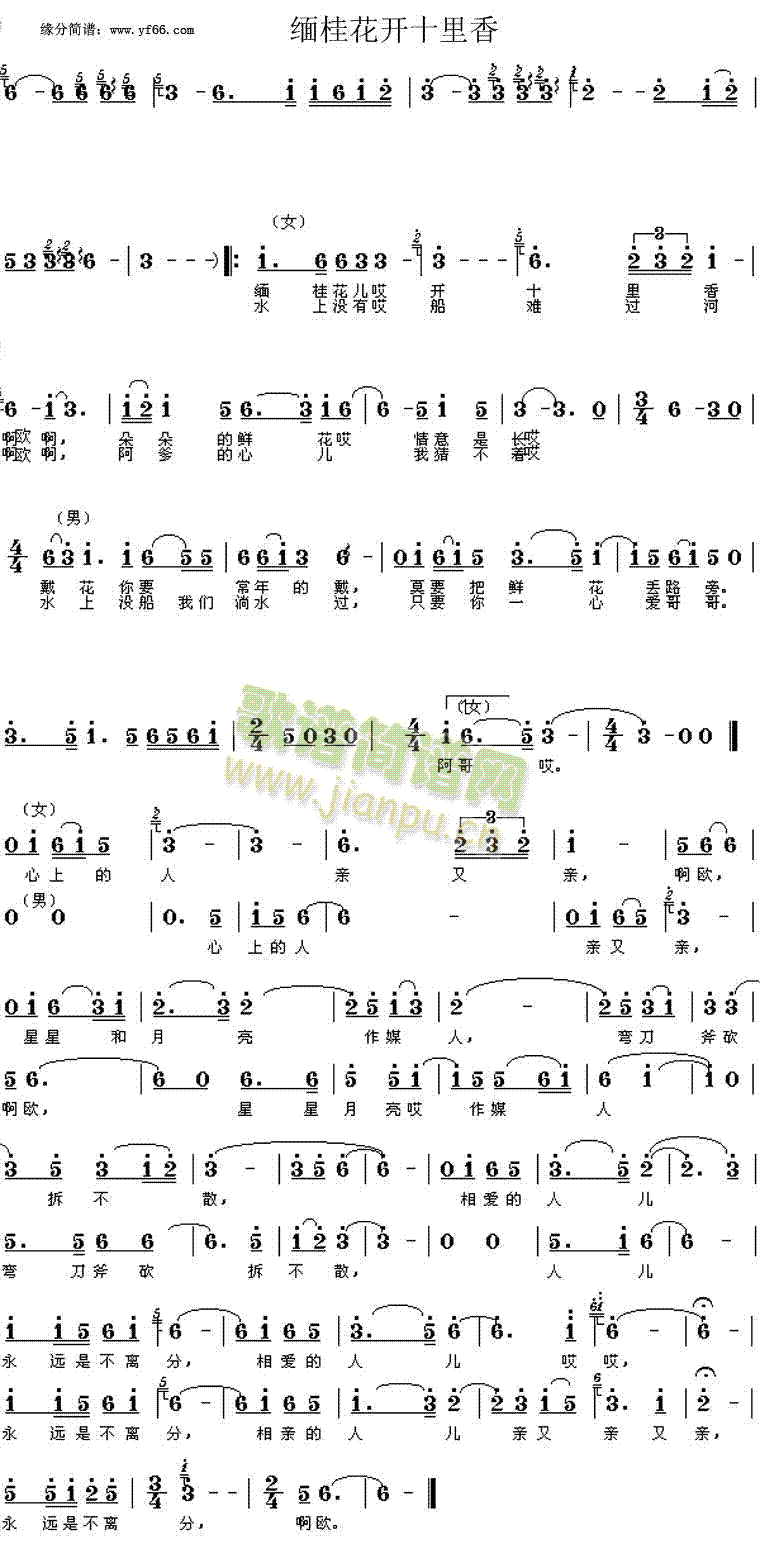 缅桂花开十里香(七字歌谱)1