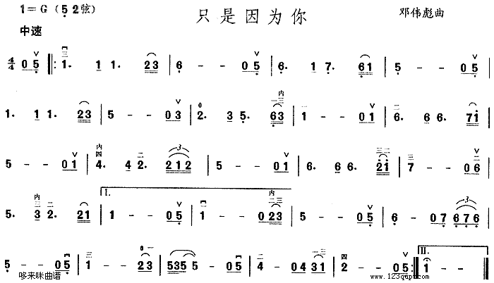 只是因为你(二胡谱)1