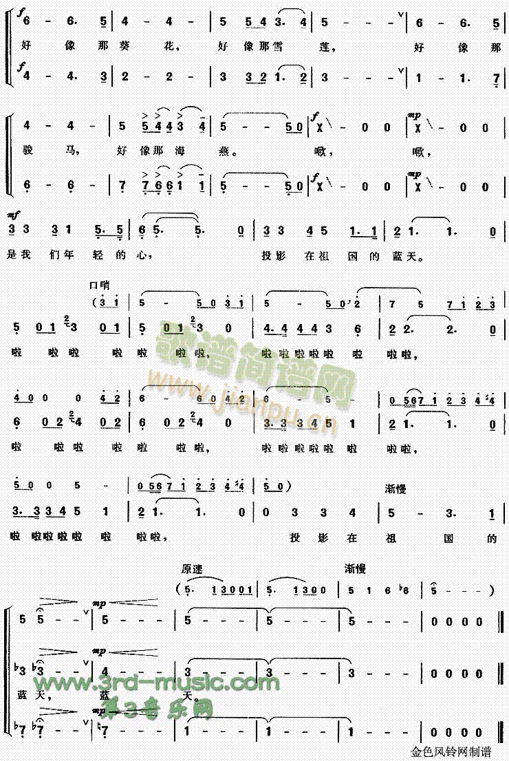 朝霞(二字歌谱)3