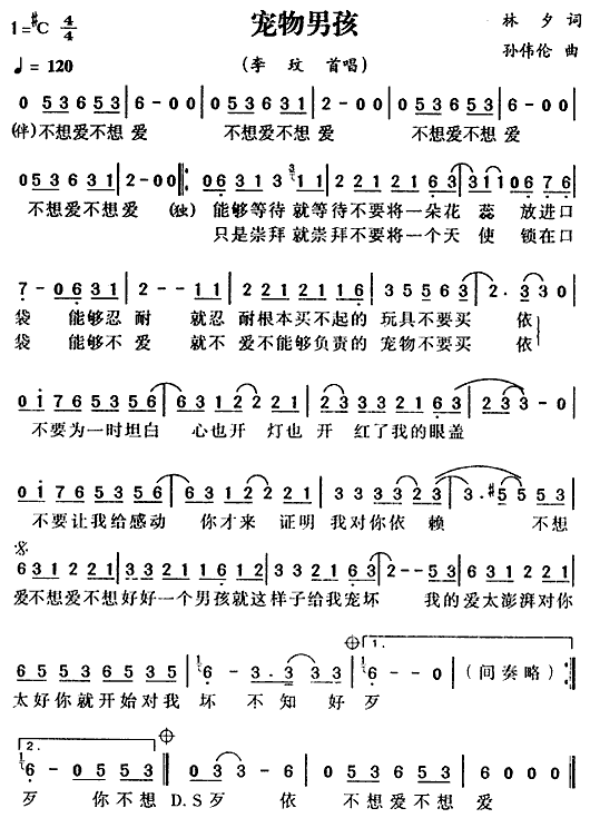 宠物男孩(四字歌谱)1