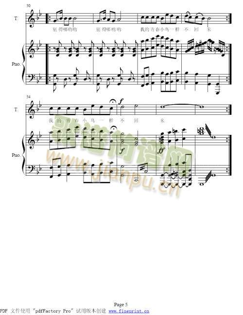 青春舞曲(其他)5