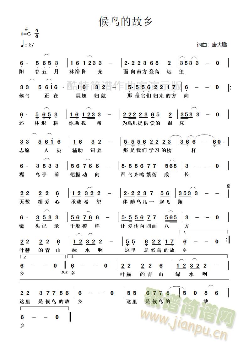 候鸟的故乡(五字歌谱)1