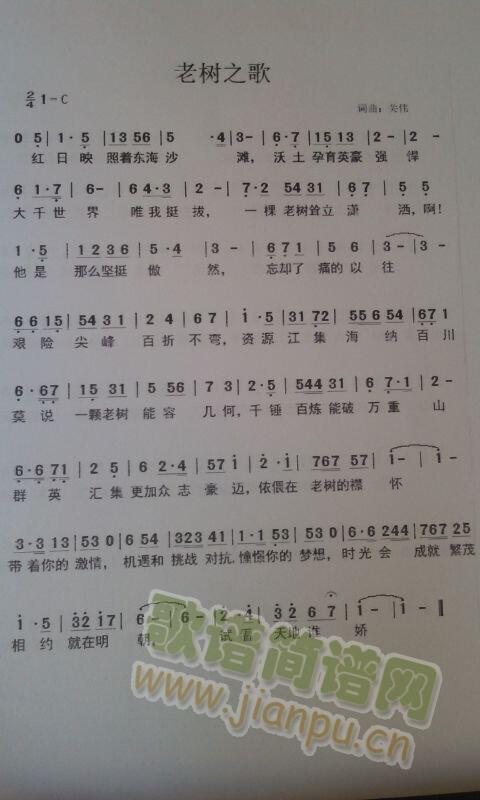 老树之歌(四字歌谱)1