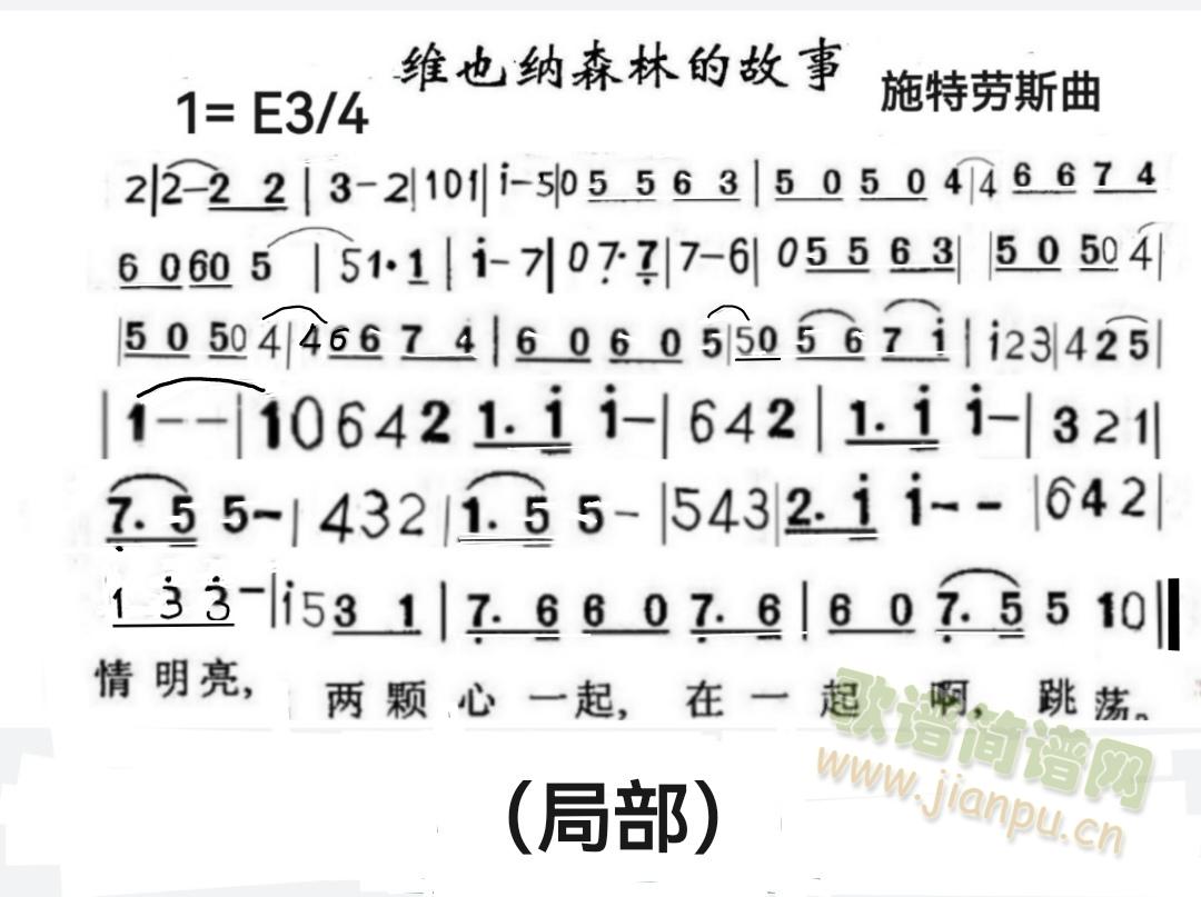 维也纳森的故事(笛箫谱)1