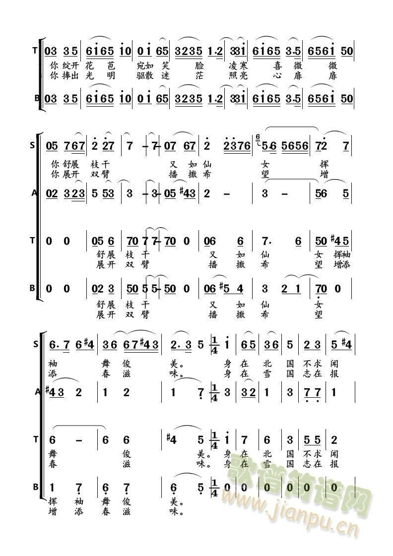 又见红梅(四字歌谱)3